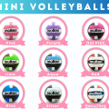 Grid of mini Molten volleyballs with color labels: Pink, Purple, Hot Pink; Lime, Aqua, Red; Blue, Silver, Navy/Olive, under a 'MINI VOLLEYBALLS' header.